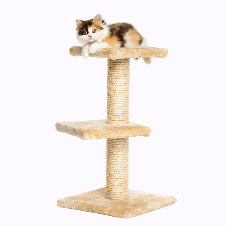 Smart Cat Scratching