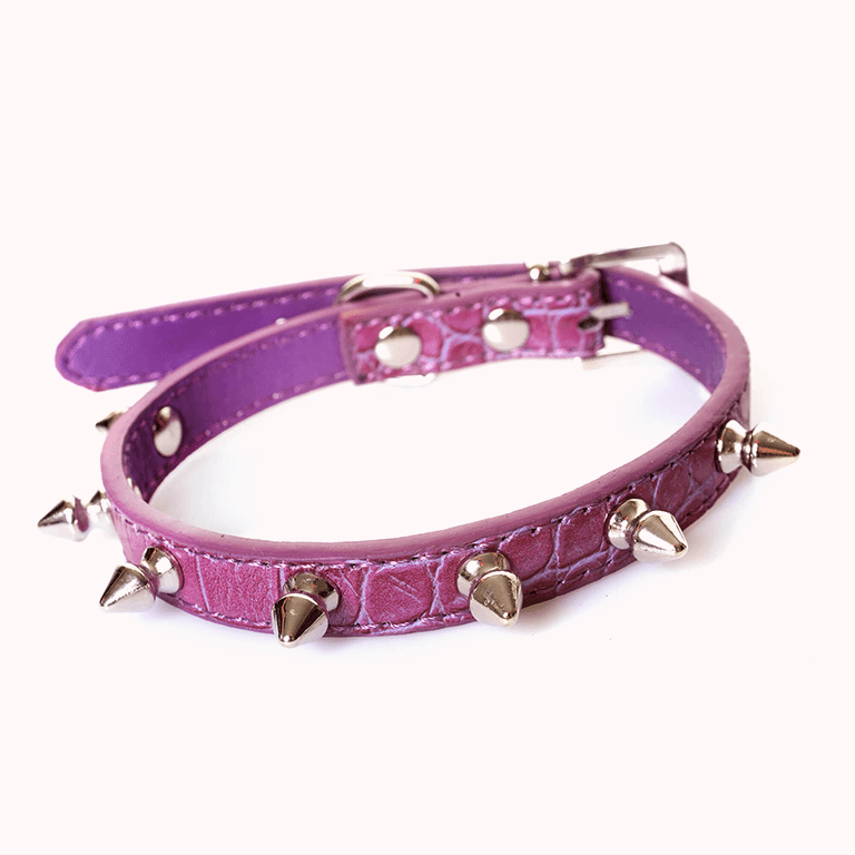 Black Spike Dog Collar