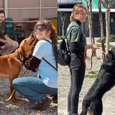 Η Φιλοσοφία στην Πράξη: Ένα Μάθημα Καρδιάς από τη Φιλοσοφική Ομάδα ‘Νέα Ακρόπολη’ στο Καταφύγιο Σωκράτης