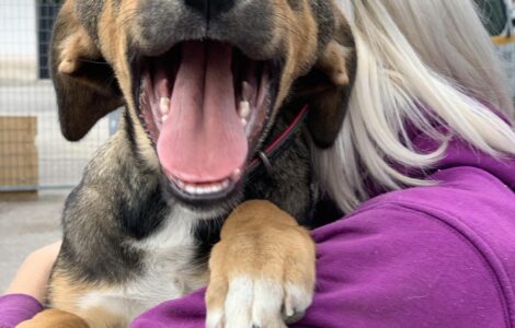 1000041024 1000041024