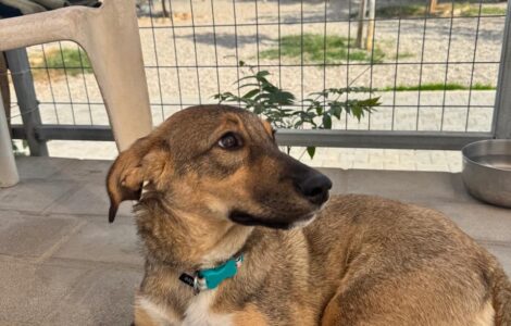 1000041355 1000041355