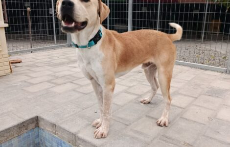 1000041578 1000041578