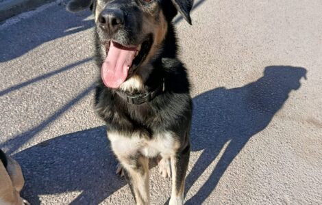 1000041251 1000041251