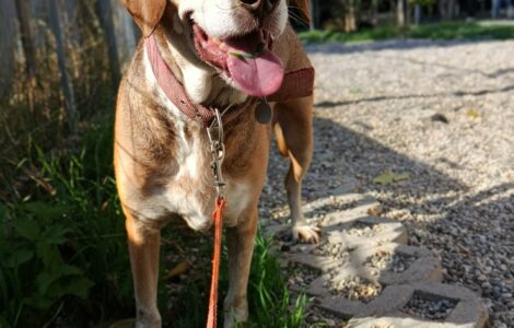 1000042449 1000042449