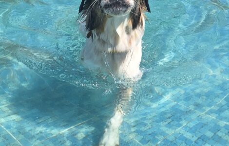 1000042941 1000042941