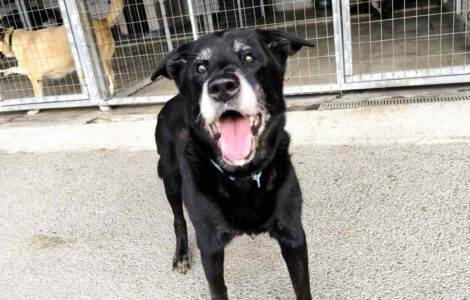 1000044456 1000044456