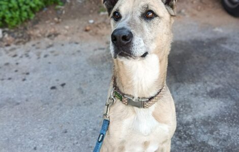 1000044579 1000044579